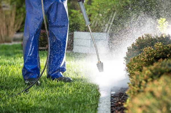 Cost of Curb Cleaning in Kingsport