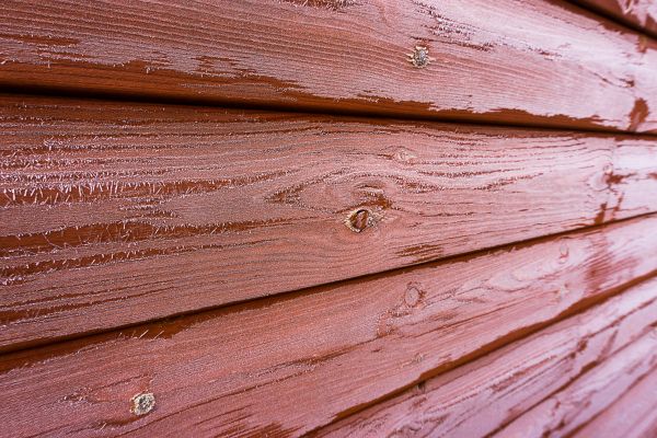 Cost of Cedar Siding Cleaning in Kingsport