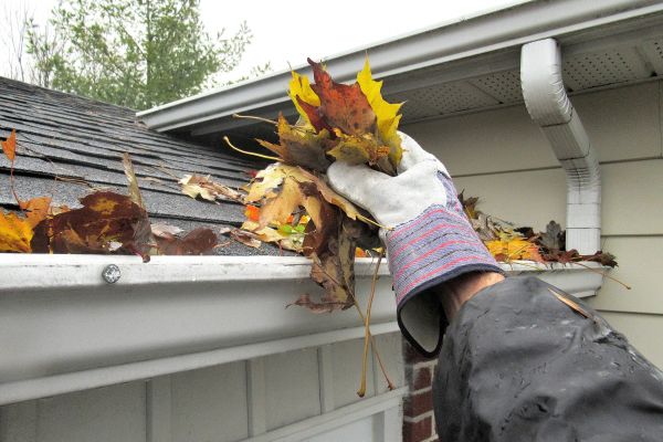 Cost of Eaves Cleaning in Kingsport