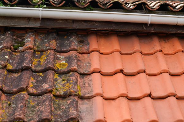 Industrial Roof Cleaning in Kingsport