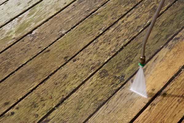 Cost of Deck Mold Removal in Kingsport